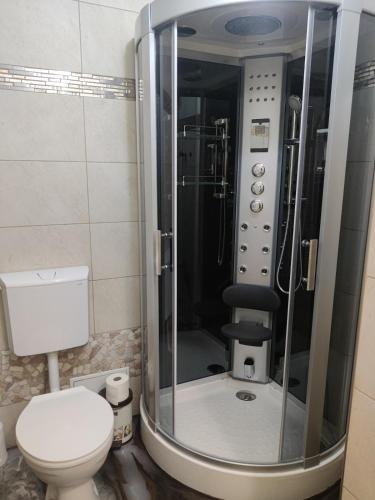 a bathroom with a shower with a toilet in it at 64747 Breuberg Odenwald 2 Schlafzimmer in Breuberg