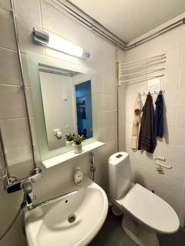 a bathroom with a sink and a toilet and a mirror at Unique apartment in Kemi with sauna department Free parking in Kemi