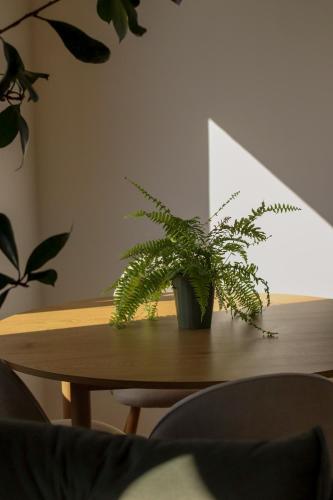 a potted plant sitting on top of a wooden table at Lawendowy Raj in Pilchowice