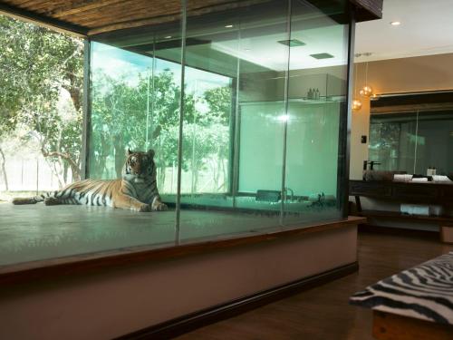 Fotografie z fotogalerie ubytování Shekinah Lion & Game Lodge v destinaci Dryfsand