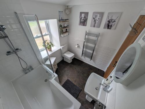 een witte badkamer met een toilet en een wastafel bij Hocking Cottage in Torquay