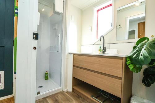 un baño con lavabo y ducha en Lake Escape-stunning views and close to town, en Lake Tekapo