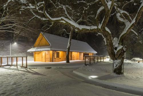 a wooden cabin in the snow with a tree at Ośrodek Szkoleniowo-Wypoczynkowy Radocyna 