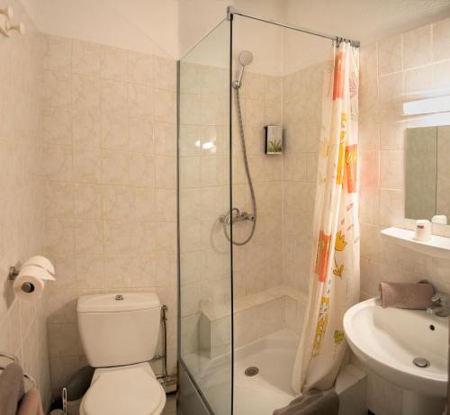a bathroom with a shower and a toilet and a sink at Hotel Toppin in Cavaillon