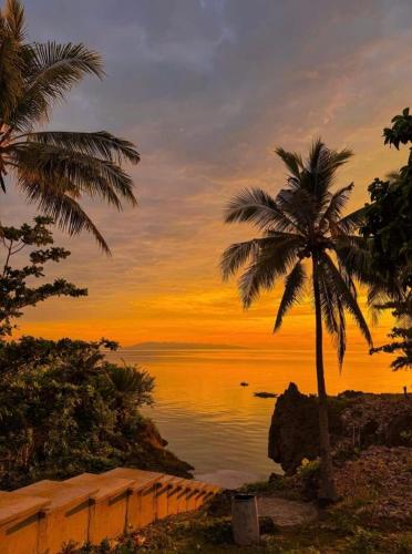 a palm tree and the ocean at sunset at peaceful turtle camp in Esperanza
