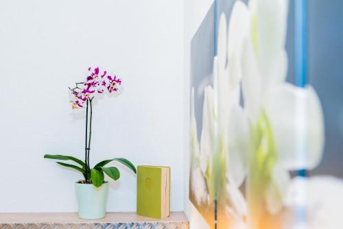 a plant in a white vase sitting on a shelf at Ferienwohnung Naturpur in Rheinau