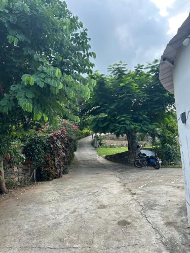 a driveway with a tree and a motorcycle parked under it at Varda farmstay in Thūr