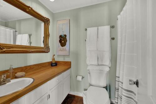 フレデリックスバーグにあるFountain Suite-Stay Right on Historic Main Street in the Heart of Fredericksburgのトイレ、洗面台、鏡のあるバスルーム