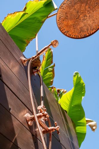 Vườn quanh Ikon Vendégház