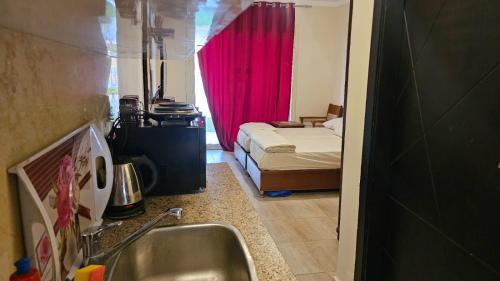 a bathroom with a sink and a bedroom with a bed at Aqua View Studio in Alexandria