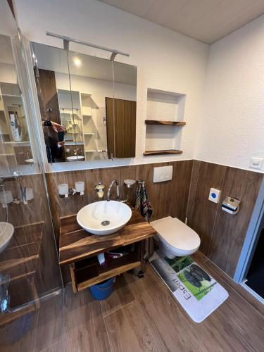a bathroom with a sink and a toilet and a mirror at Leukerbad TOP, Thermalquellen, Skigebiet in Leukerbad