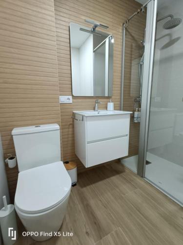 a bathroom with a toilet and a sink and a shower at As Mimosas d'Cross in Redondela