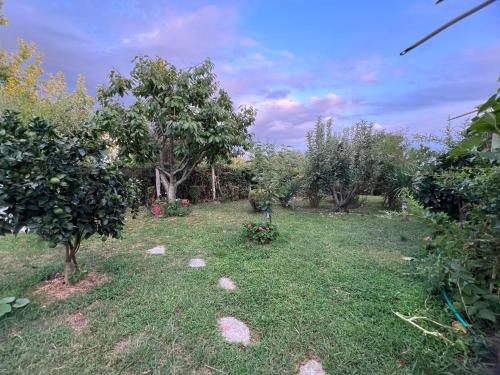 Gallery image of Luxury Villa - Dar Al Shams 01 in Tirana