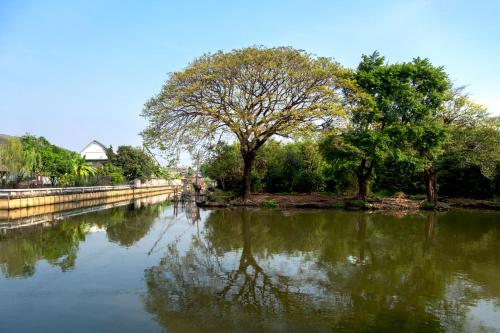a reflection of a tree in a body of water at The Park Nine Hotel Suvarnabhumi - Free BKK Airport Shuttle in Lat Krabang