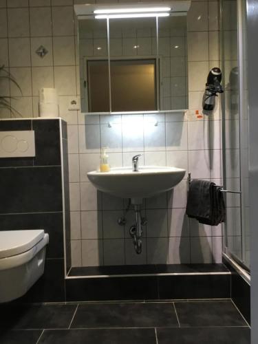 a bathroom with a sink and a toilet at Ferienwohnungen Schellein in Blaibach