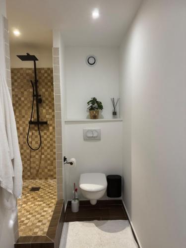 a white bathroom with a toilet and a shower at An Enchanting Break in Saint Martin in Anse Marcel 