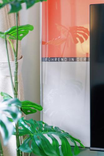a plant sitting next to a framed picture at 寅ホテル新江古田TORA HOTELShinEkoda in Tokyo