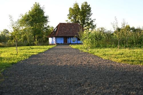 Un camino que conduce a una pequeña casa azul en un campo. en Old Wooden Houses in Oaș Land - Căsuțele din Toag, en Negreşti-Oaş