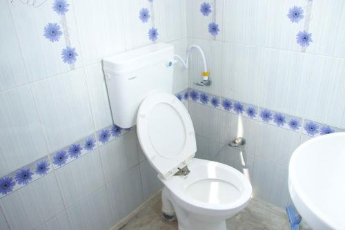 a bathroom with a toilet and a sink at Hotel Krishna in Jaipur