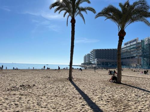 Apartamento en Centro Alicante junto al Mercado con terraza By Turihome