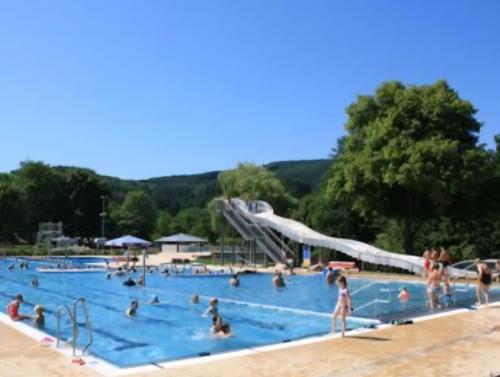 eine Gruppe von Personen in einem Schwimmbad mit Rutsche in der Unterkunft Villa Schwarzwaldblick in Seelbach