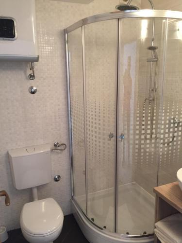a bathroom with a shower and a toilet at Titius Apartment in Skradin