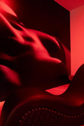 Φωτογραφία από το άλμπουμ του Loveroom La Villa Lova avec spa privé et pièce secrète σε Pamiers