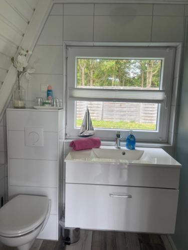 a bathroom with a toilet and a sink and a window at Ferienhaus nähe Warnemünde 3 in Elmenhorst