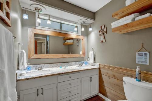 a bathroom with a sink and a mirror at Gettin' Guada loopy with Hot Tub & Riverfront in Schumannsville