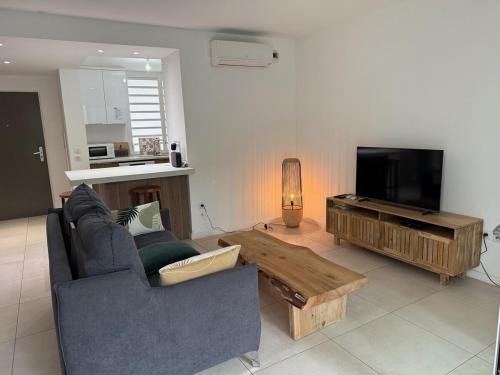 TV a/nebo společenská místnost v ubytování TropiClub Charm appartement avec piscine