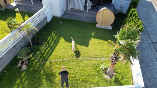 an aerial view of a man standing in a yard at COCO VILLA 南房総 Dog Stay in Minamiboso