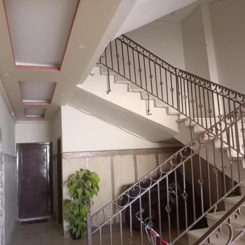 a staircase in a building with a plant at Hurghada City apartments Red sea in Hurghada