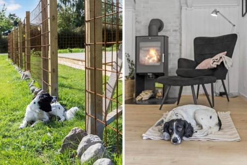 a dog laying on a blanket next to a fireplace at 8993-Orsted-Hejrevej-31 in Ørsted