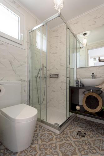 a bathroom with a shower and a toilet and a sink at Villa Thalassa in Skaleta