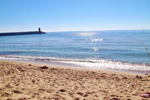 a beach with a group of birds in the water at U&i펜션 in Yangyang