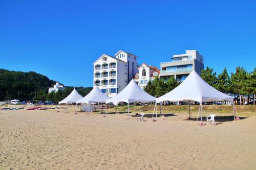 a group of white tents on a sandy beach at U&i펜션 in Yangyang