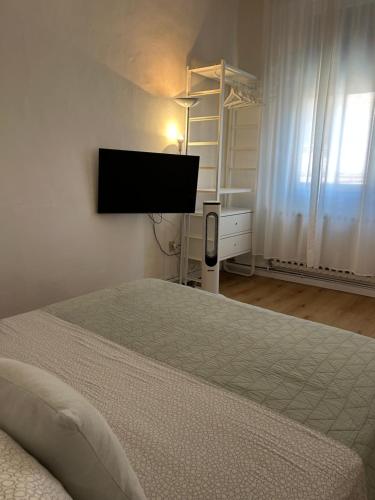 フェラーラにあるRipa Grande Apartmentのベッドと薄型テレビのある寝室