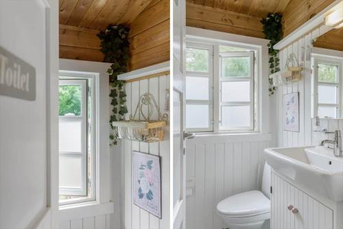 索尔图姆BL1694-Saltum-Klaus-Bjergsvej-8的一间带卫生间、水槽和窗户的浴室
