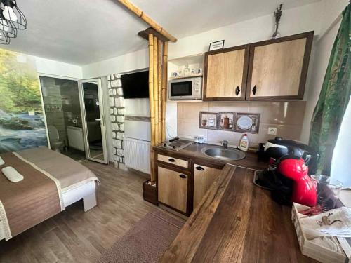 una pequeña cocina con cama y lavabo en una habitación en Casa Bambus Sovata 2, en Sovata