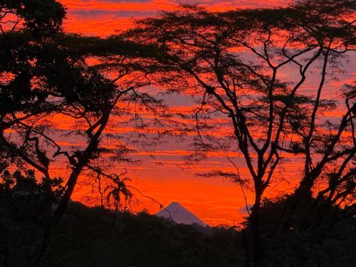 a sunset with trees and a mountain in the background at Cabaña del Lago in Marsella