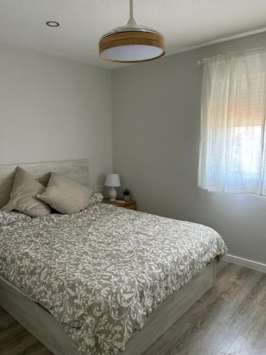 Bright accommodation next to the Turia Gardens