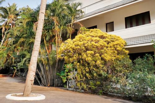 a palm tree in front of a building at Hotel O Kazhakoottam Near AL SAJ Convention Centre in Trivandrum