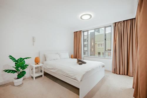 a white bedroom with a bed and a window at 2 Bedroom Apartment Pyrmont with Pool and Gym Access in Sydney