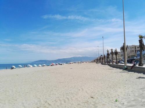 a beach with a row of palm trees and the ocean at Ground floor apartment,facing swimming pool, wifi , air conditioner in Martil