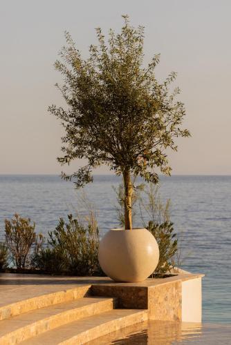 a tree in a pot sitting on some stairs next to the water at Green Coast Hotel MGallery Collection in Vlorë