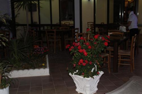 a white vase filled with red flowers in a restaurant at Affittacamere la Medusa in Porto Pino