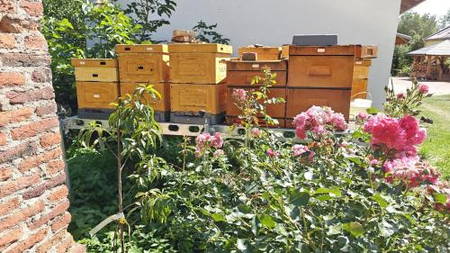 a garden with flowers and old dressers in a yard at Pasieka Miody Gór Opawskich in Dobiesźow