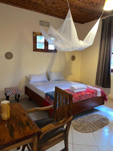 Nyani's hub
