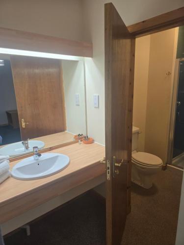 a bathroom with a sink and a toilet and a mirror at The Red Lion Tavern in Fochabers