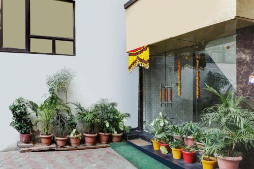 a bunch of potted plants in front of a building at Hotel O Jammu Near Ragunath Bazaar Formerly GoodWill in Jammu